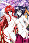 School DxD