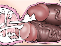 Annabelles New Life 2