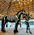 Laura Peralta images 2