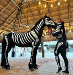 Laura Peralta images 2