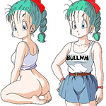 La waifu Bulma