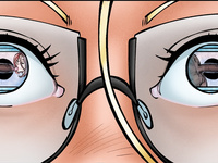 Lessons from the Neighbor 1