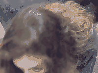 My flavour 1 (Gifs)