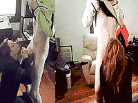 My flavour 1 (Gifs)
