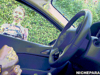 My flavour 1 (Gifs)
