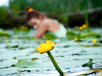 Natasha Allfinegirls 33-0