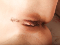 Tigra ErroticaArchive 10