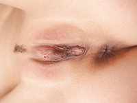 Tigra ErroticaArchive 14