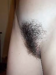 Bbw peludos
