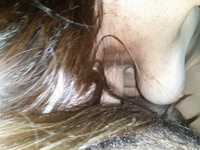 Andrea Fama, milf argentina puta images 2