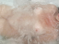 Andrea Milf argentina puta