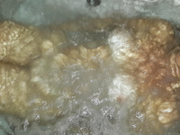 Andrea Milf argentina puta