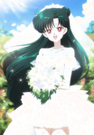 Sailor moon