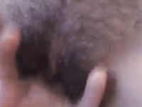 itty bitty pussy bunny