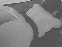 PORN GIFS