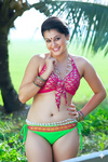 Bikini 17