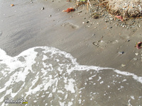 Helen Volga Velenvolga 03