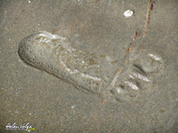 Helen Volga Velenvolga 03