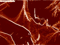 many hot special effects action photos