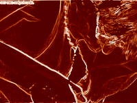 many hot special effects action photos