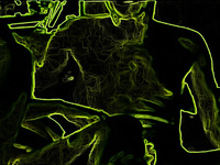 lots of yellow photos of me getting my cock sucked