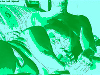 LOTS OF HOT ACTION PHOTOS