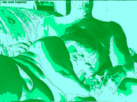 LOTS OF HOT ACTION PHOTOS