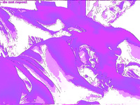 LOTS OF HOT ACTION PHOTOS