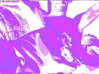 LOTS OF HOT ACTION PHOTOS