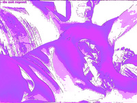 LOTS OF HOT ACTION PHOTOS