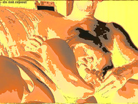 MORE HOT PHOTOS FOR YOU