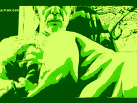 OVER 50 VERY HOT PHOTOS