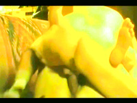 VERY LARGE PHOTO ALBUM OF HOT ACTION PICS