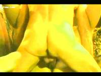 VERY LARGE PHOTO ALBUM OF HOT ACTION PICS