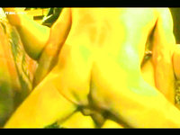 VERY LARGE PHOTO ALBUM OF HOT ACTION PICS