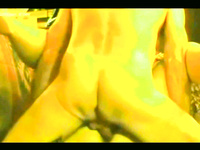 VERY LARGE PHOTO ALBUM OF HOT ACTION PICS