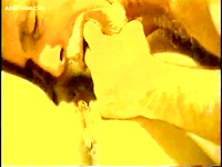 LARGE AND VERY HOT ALBUM OF PUSSY EATING