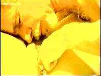 LARGE AND VERY HOT ALBUM OF PUSSY EATING