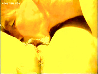 LARGE AND VERY HOT ALBUM OF PUSSY EATING