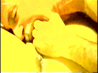 LARGE AND VERY HOT ALBUM OF PUSSY EATING