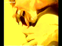 LARGE AND VERY HOT ALBUM OF PUSSY EATING