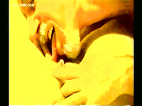 LARGE AND VERY HOT ALBUM OF PUSSY EATING