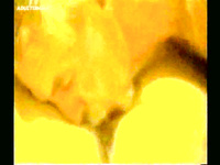 LARGE AND VERY HOT ALBUM OF PUSSY EATING