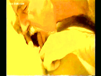 LARGE AND VERY HOT ALBUM OF PUSSY EATING