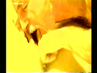 LARGE AND VERY HOT ALBUM OF PUSSY EATING