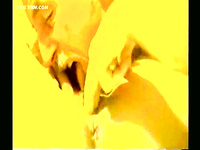 LARGE AND VERY HOT ALBUM OF PUSSY EATING