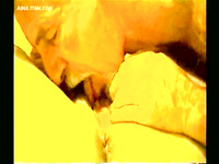 LARGE AND VERY HOT ALBUM OF PUSSY EATING