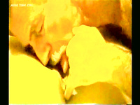 LARGE AND VERY HOT ALBUM OF PUSSY EATING