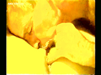 LARGE AND VERY HOT ALBUM OF PUSSY EATING