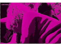 MANY MORE HOT ACTION PHOTOS